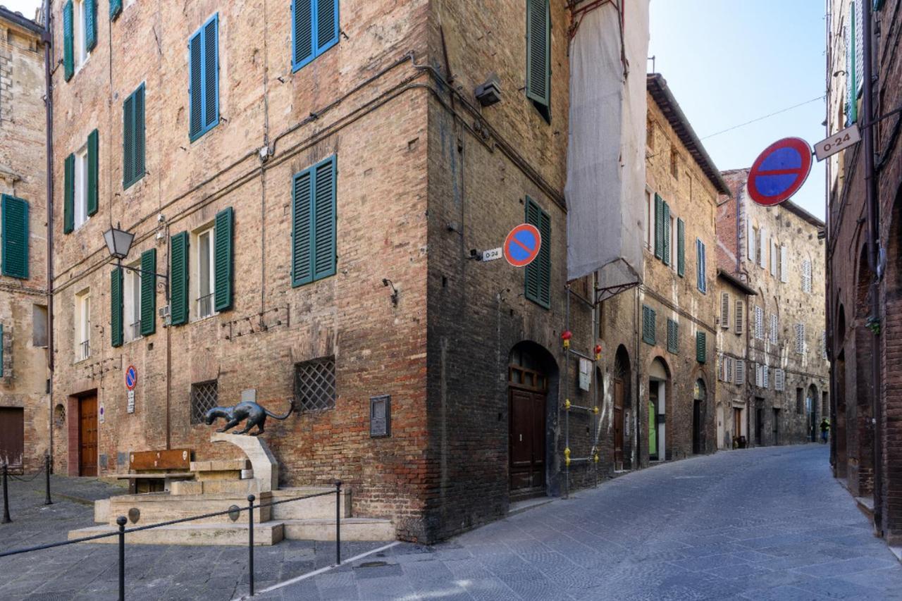 Piazza Paradiso Accommodation Siena Exteriör bild